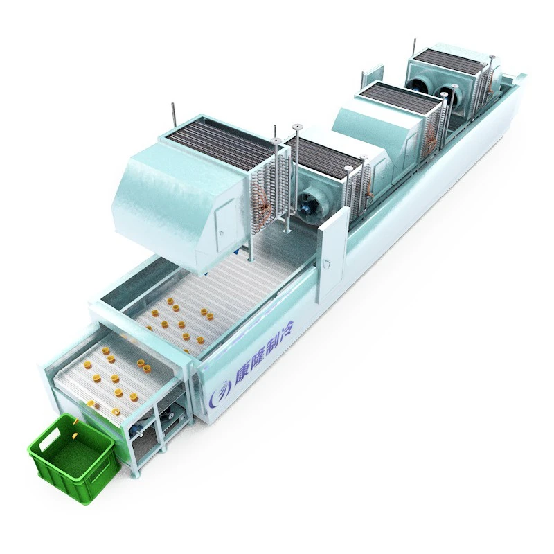 Mesh Belt Tunnel Freezer factory